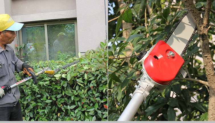 Vilka är verktygsskärningsfärdigheterna inom trädgårdsskötsel?